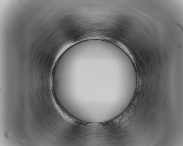 X0000097290811200802151057