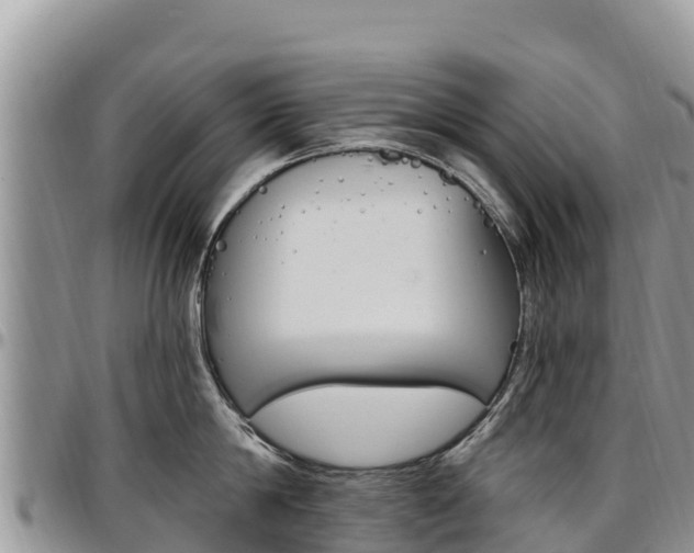 X0000097290814200802151057