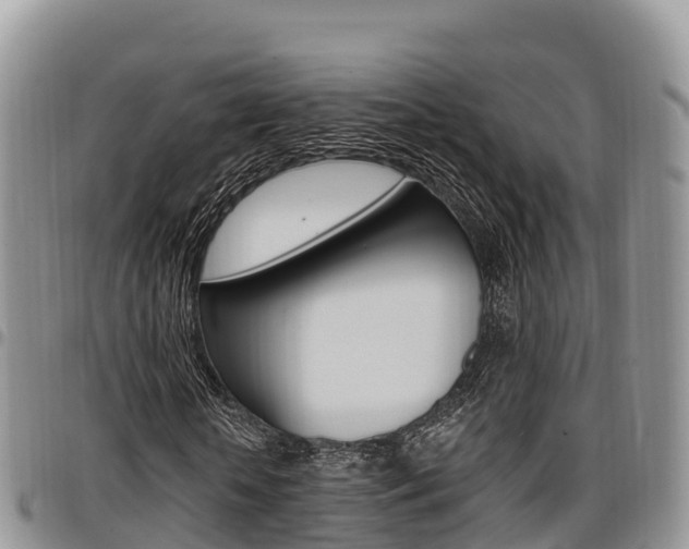 X0000097290818200802151056