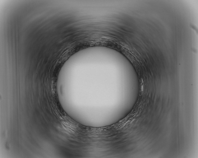 X0000097290819200802151056