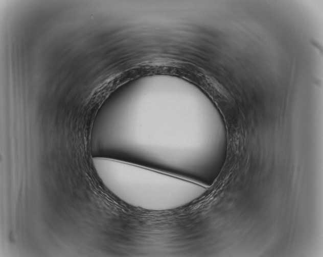 X0000097290821200802151056