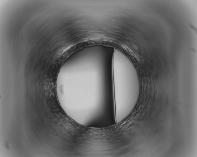 X0000097290822200802151056