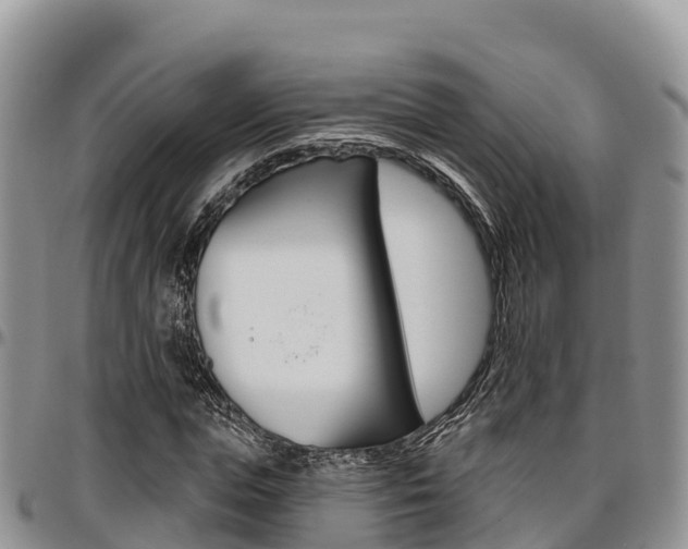 X0000097290823200802151056
