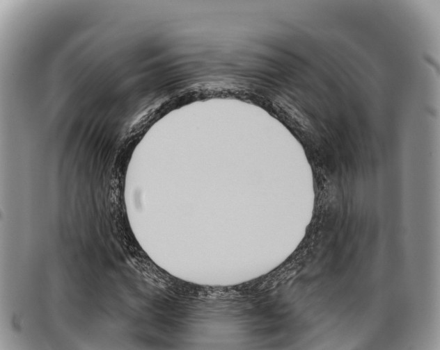 X0000097290824200802151056
