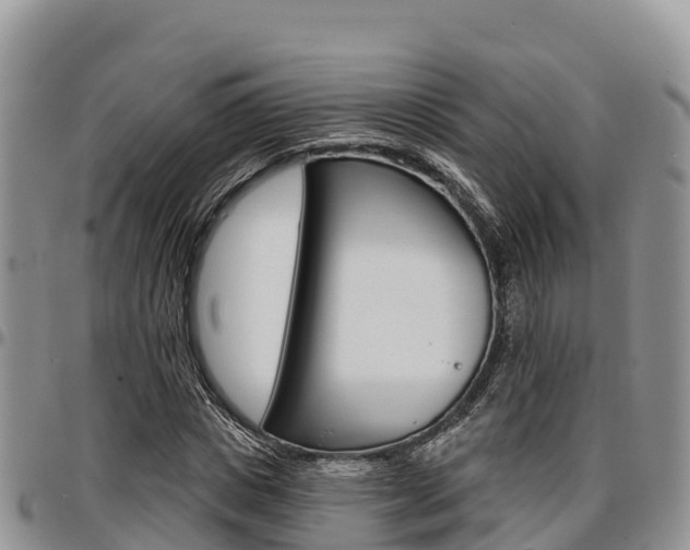 X0000097290825200802151056
