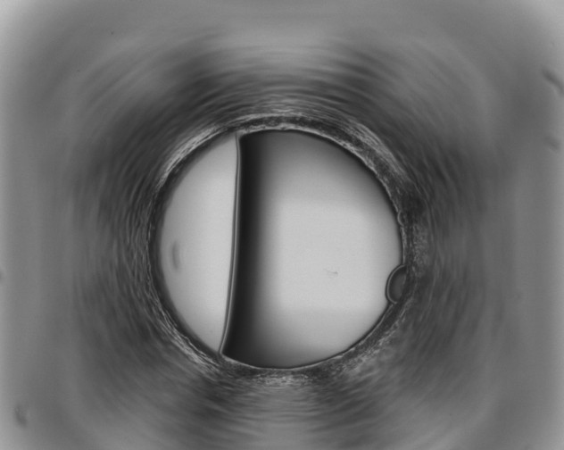 X0000097290826200802151056