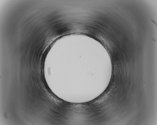 X0000097290828200802151056