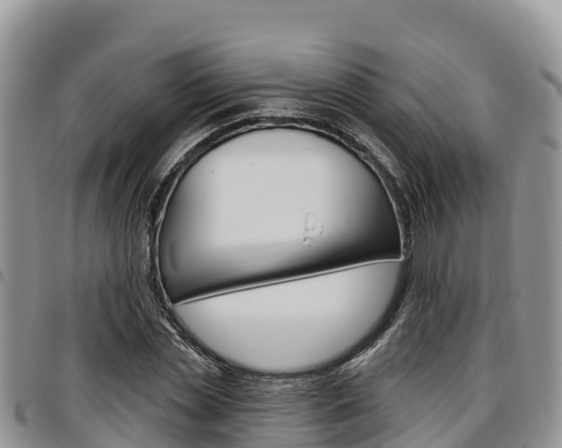 X0000097290829200802151056