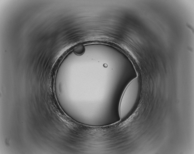 X0000097290830200802151056