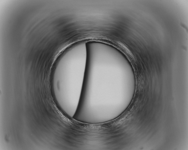X0000097290831200802151056