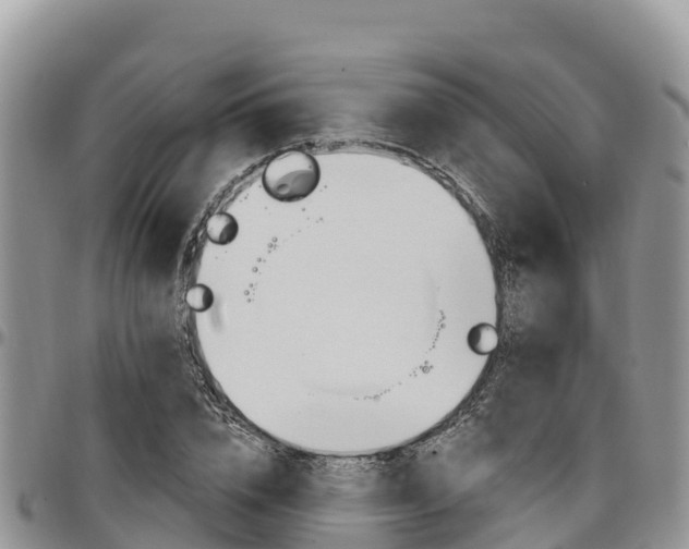 X0000097290832200802151056