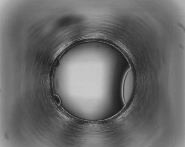 X0000097290834200802151056