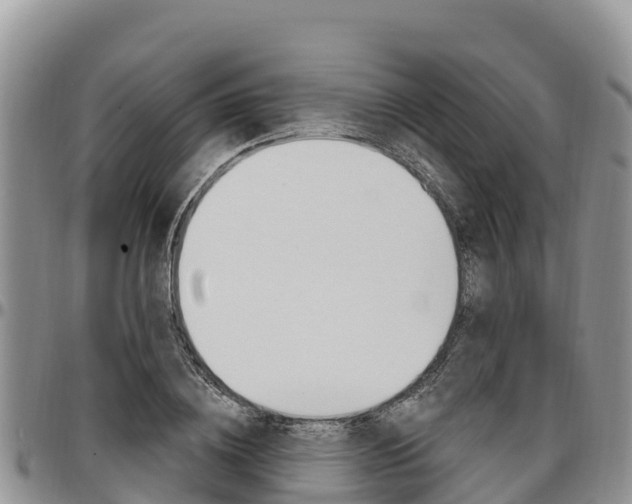 X0000097290836200802151057