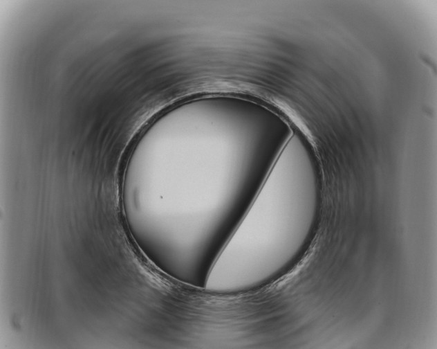 X0000097290837200802151057