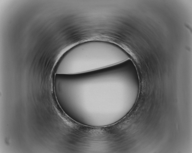 X0000097290838200802151057