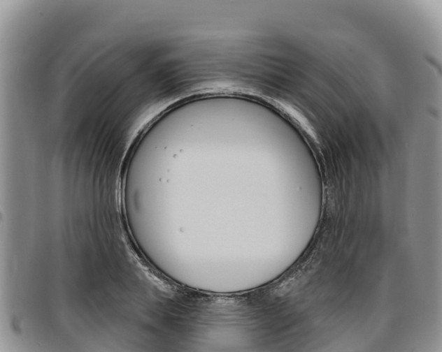 X0000097290839200802151057
