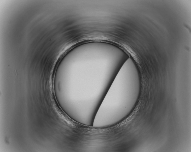 X0000097290840200802151057