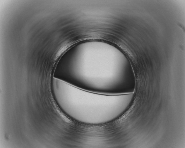 X0000097290842200802151057