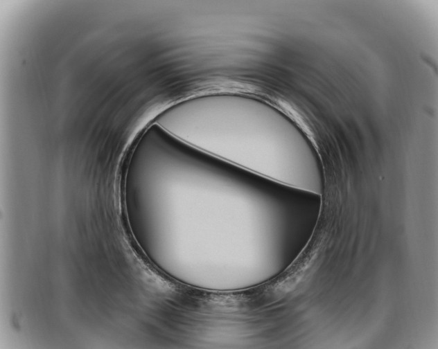 X0000097290843200802151057