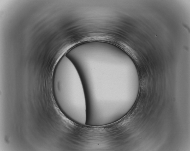 X0000097290844200802151057