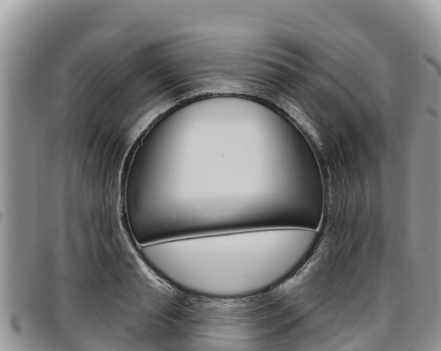 X0000097290845200802151057