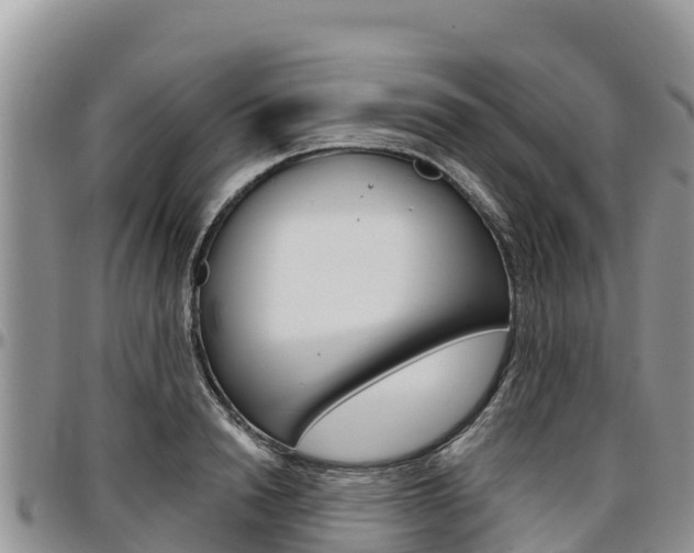 X0000097290846200802151057