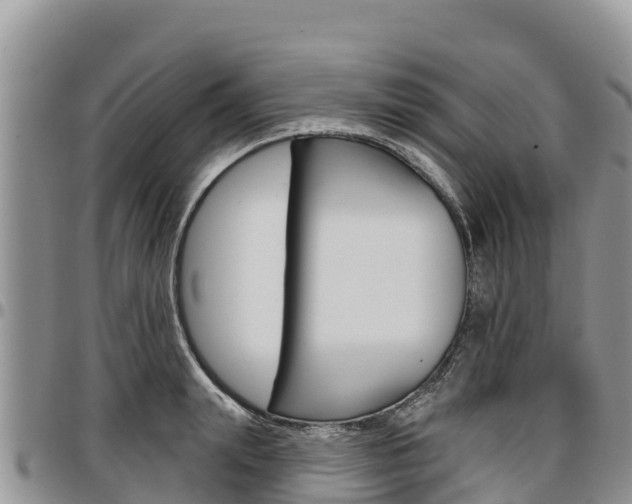 X0000097290847200802151057