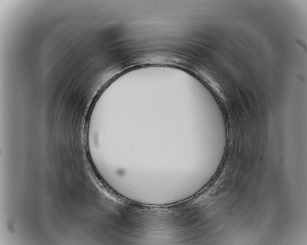 X0000097290848200802151057