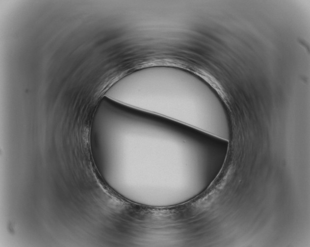 X0000097290849200802151057