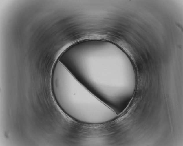 X0000097290853200802151057