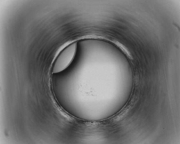 X0000097290854200802151057