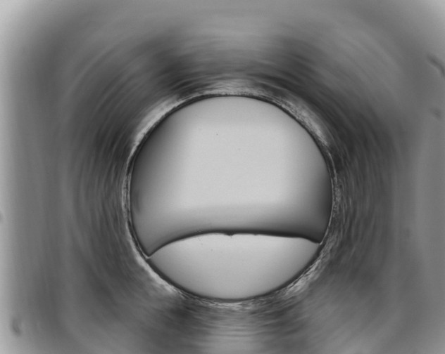 X0000097290855200802151057