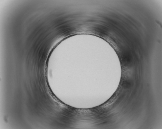 X0000097290856200802151057