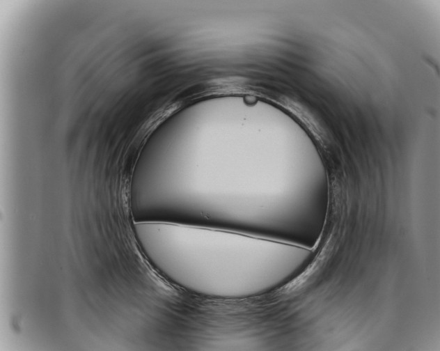 X0000097290857200802151057
