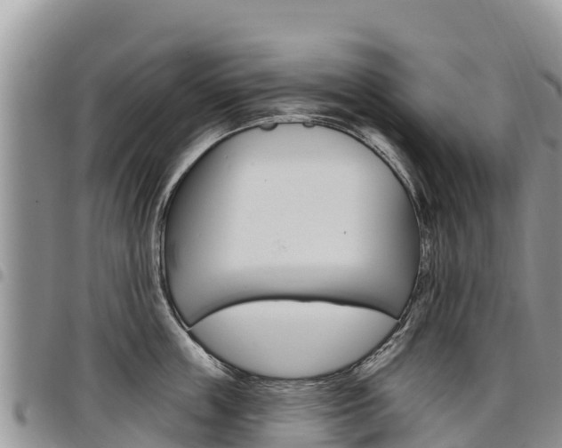 X0000097290859200802151057