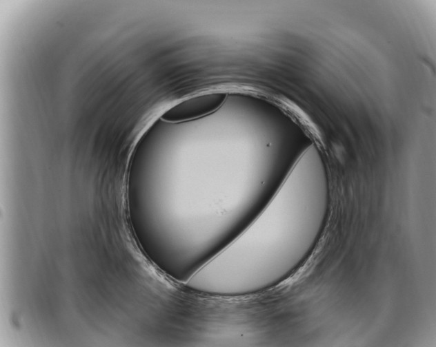 X0000097290860200802151057