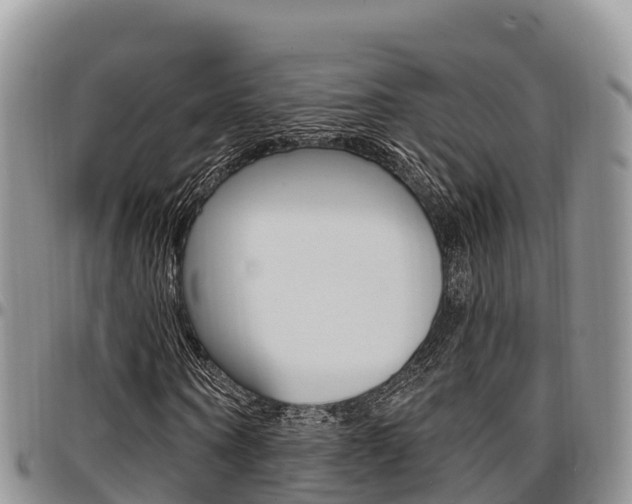 X0000097290866200802151056