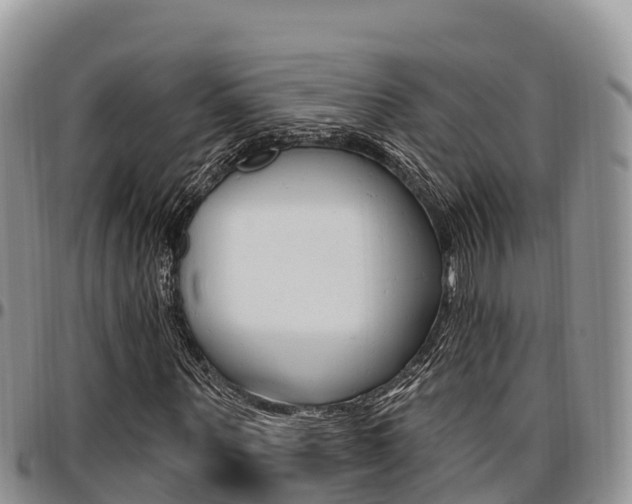X0000097290867200802151056