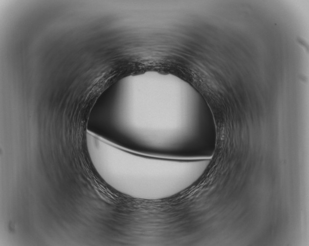 X0000097290868200802151056