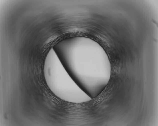 X0000097290869200802151056