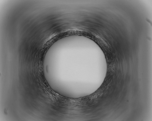 X0000097290870200802151056