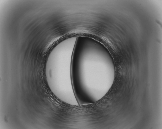 X0000097290872200802151056