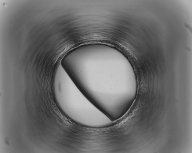 X0000097290873200802151056