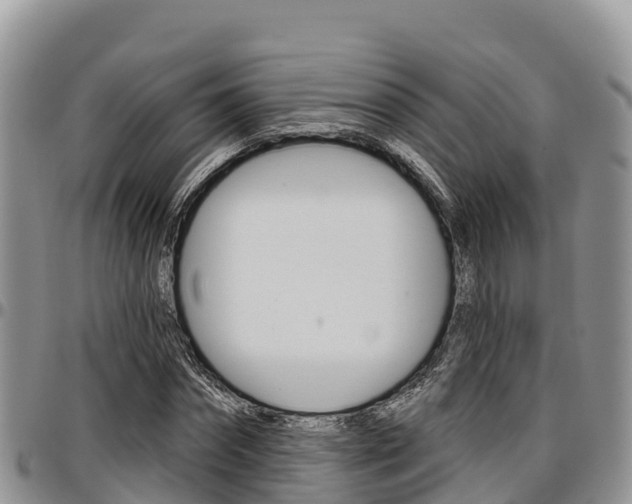 X0000097290874200802151056