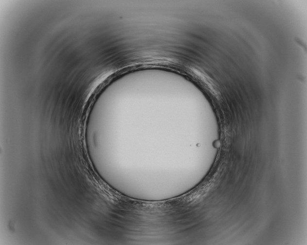 X0000097290875200802151056