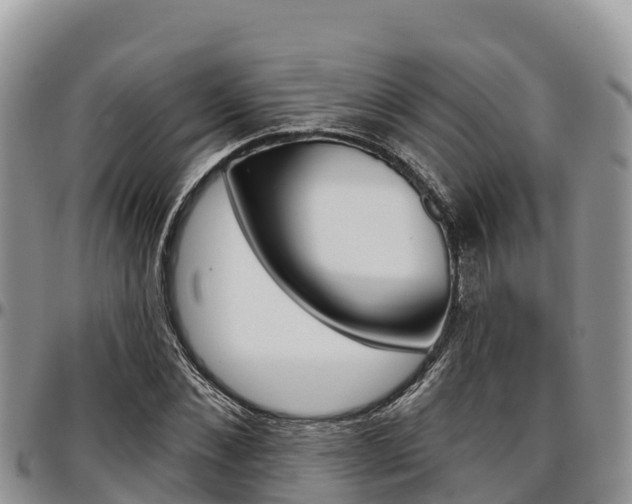 X0000097290876200802151056