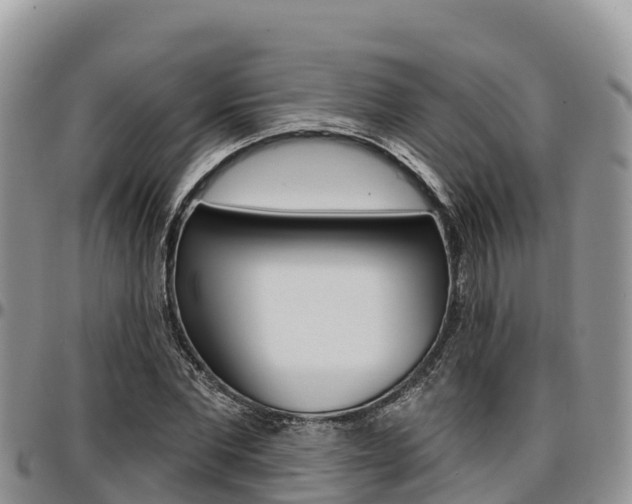 X0000097290877200802151056