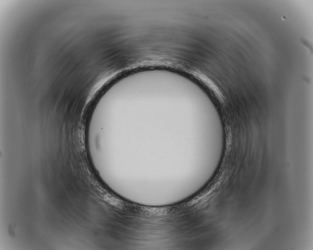X0000097290878200802151056