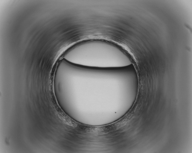 X0000097290879200802151056