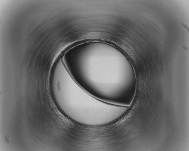 X0000097290880200802151056